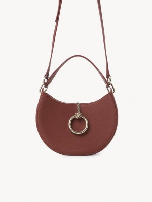 Chloe Arlène Small Hobo Crossbody Laukut Ruskea | CHE-SR13604