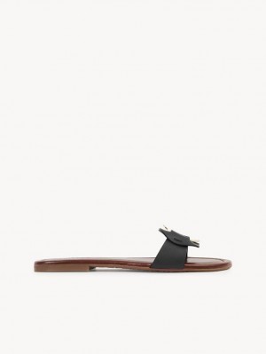 Chloe Chany Mule Ballerinat Mustat | CHE-SR14838