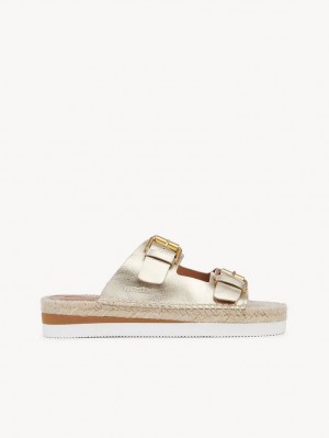 Chloe Glyn Platform Espadrille Sandaalit Hopea | CHE-SR14802