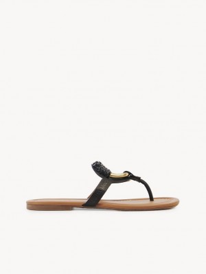 Chloe Hana Flip Flops Ballerinat Mustat | CHE-SR14830