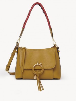 Chloe Joan Small Olkalaukku Ruskea | CHE-SR14648