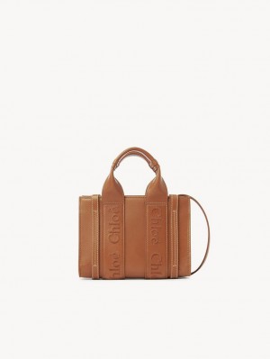 Chloe Mini Woody Crossbody Laukut Ruskea | CHE-SR13559