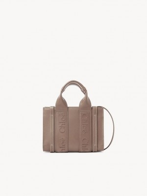 Chloe Mini Woody Crossbody Laukut Ruskea | CHE-SR13569