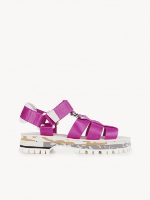 Chloe Nikie Active Litteät Sandaalit Pinkki | CHE-SR14177