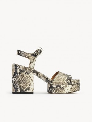 Chloe Odina High-heel Sandaalit Harmaat | CHE-SR14172