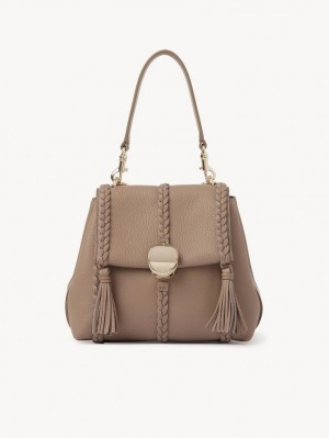 Chloe Penelope Small Soft Olkalaukku Ruskea | CHE-SR13456