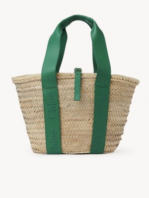 Chloe Sense Medium Baskets Vihreä | CHE-SR13641