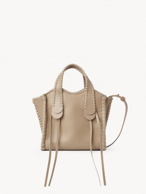 Chloe Small Mony Crossbody Laukut Ruskea | CHE-SR13602