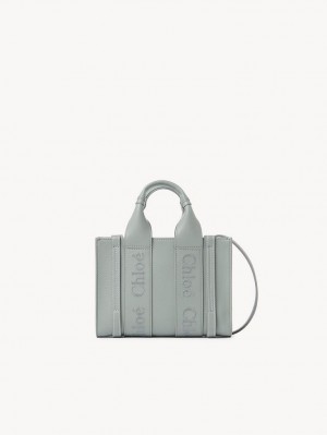 Chloe Woody Tote 1 Mini Laukut Vihreä | CHE-SR13697