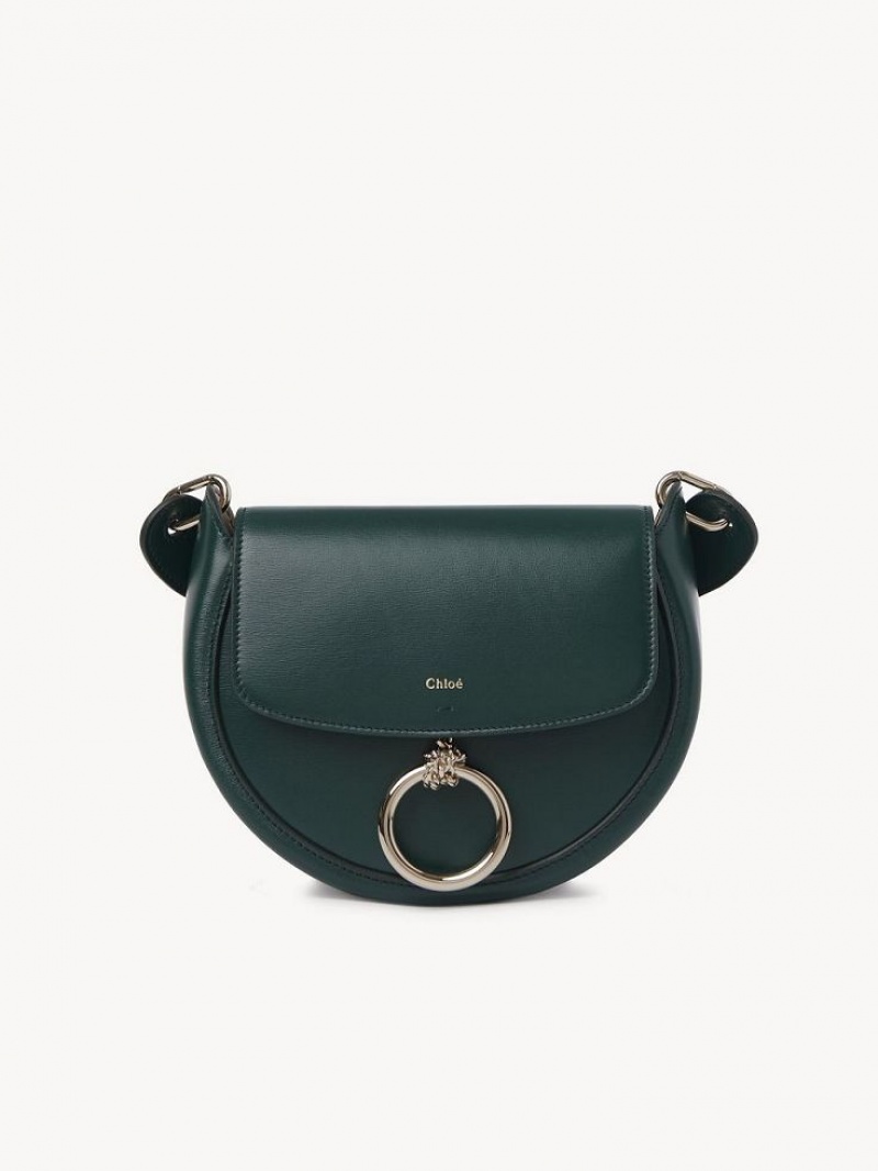 Chloe Arlène Small Crossbody Crossbody Laukut Vihreä | CHE-SR13463