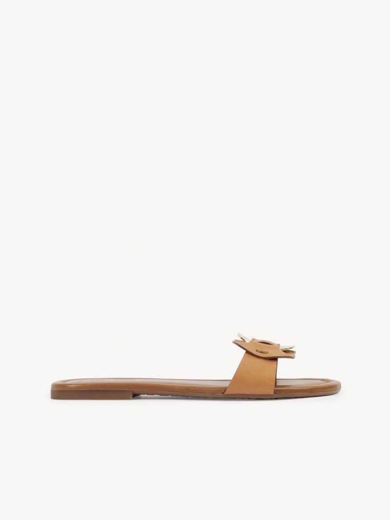 Chloe Chany Mule Ballerinat Ruskea | CHE-SR14837