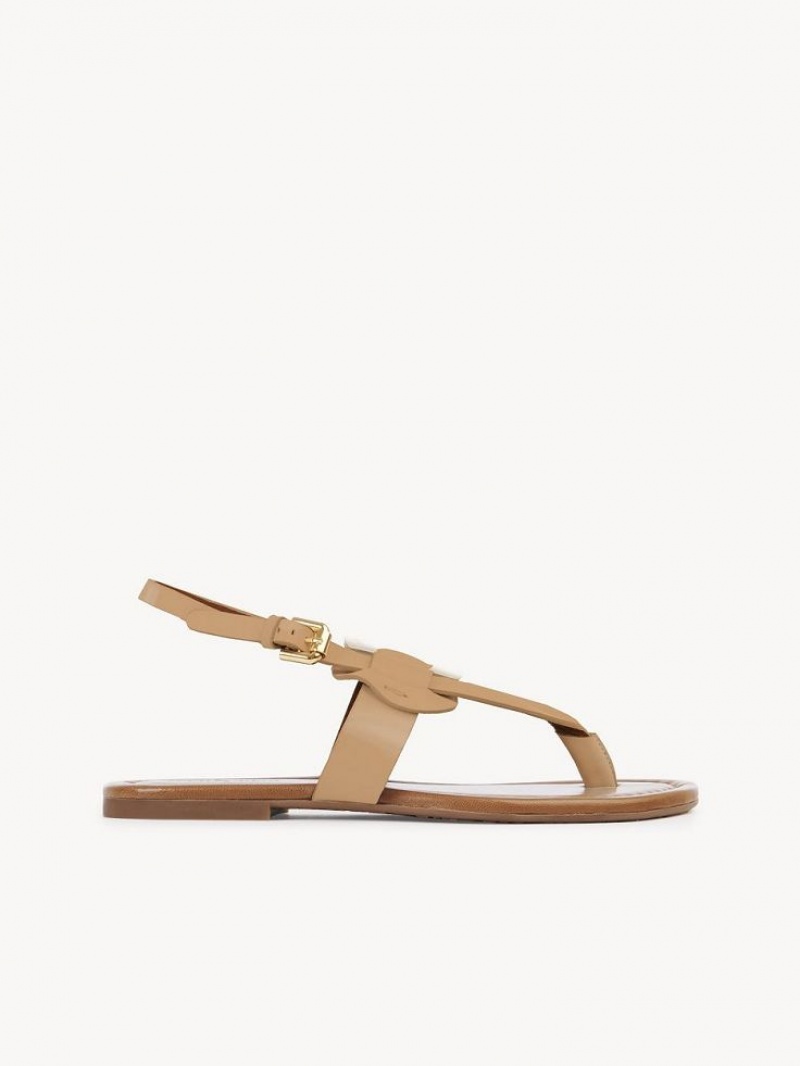 Chloe Chany Sandaalit Ruskea | CHE-SR14824