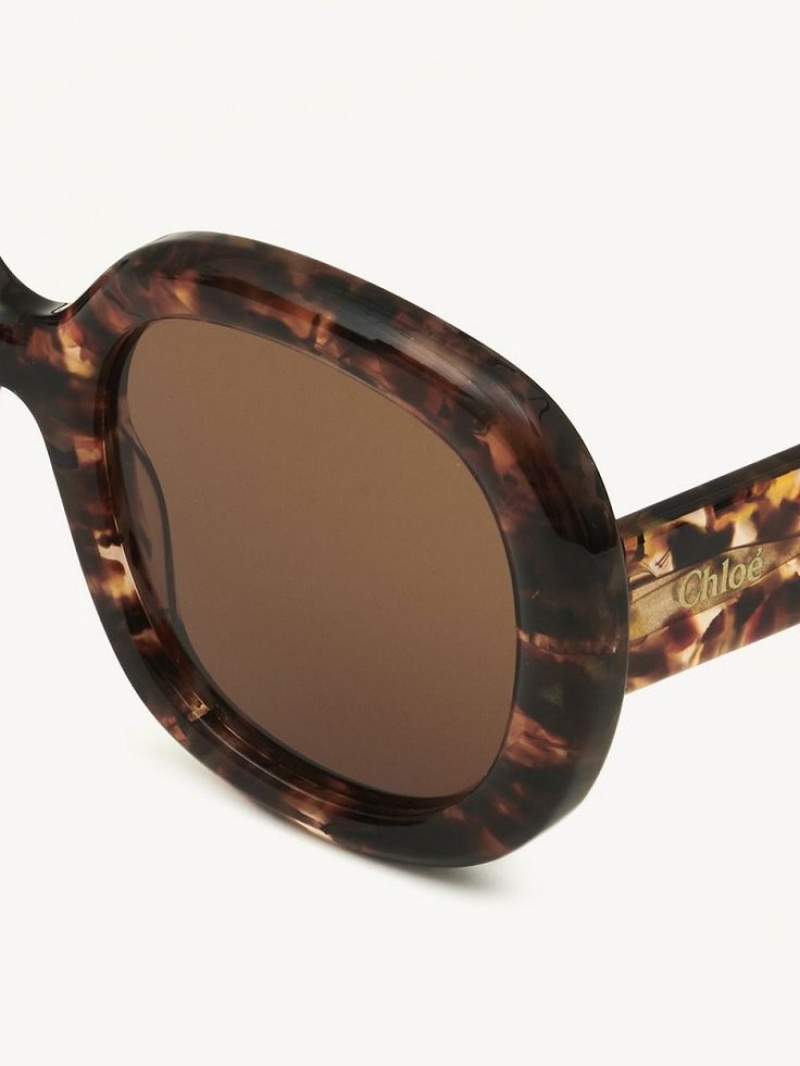 Chloe Gayia Aurinkolasit Marble Havana | CHE-SR14578