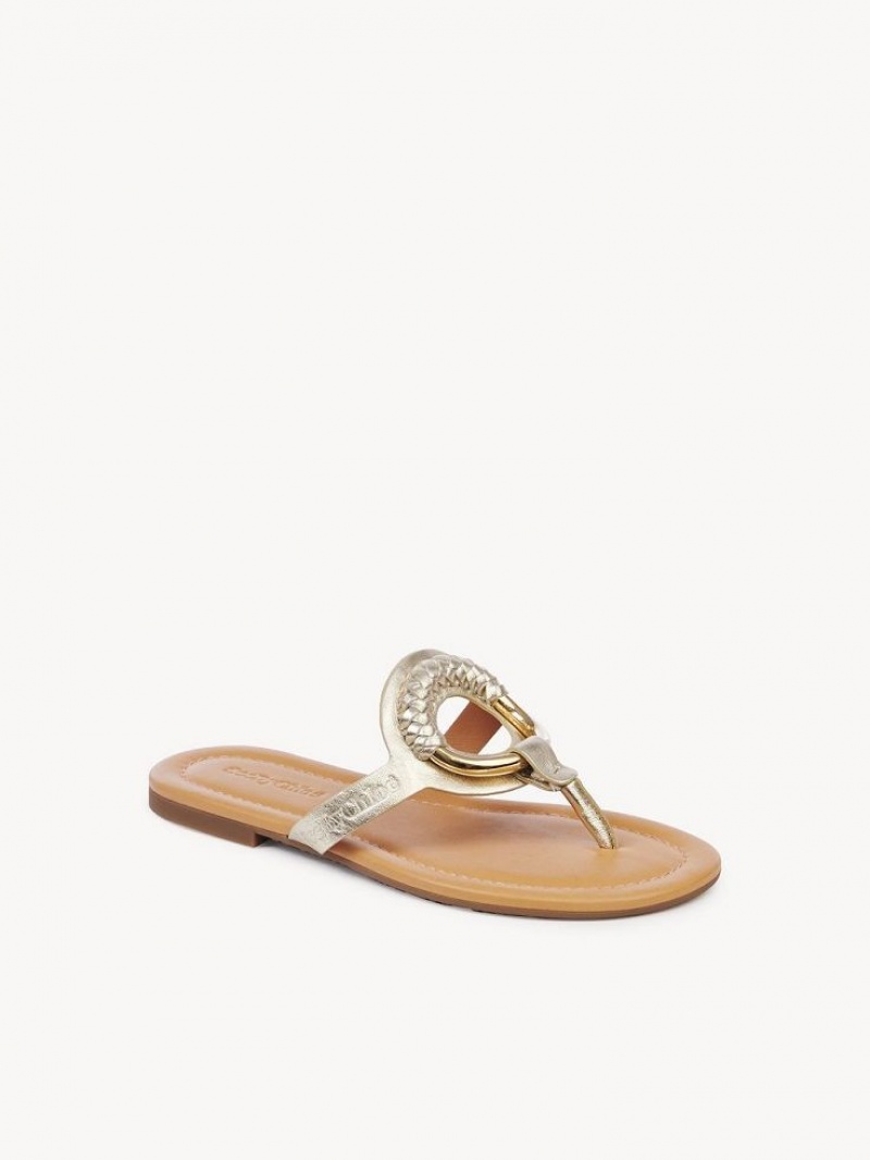 Chloe Hana Flip-flop Ballerinat Hopea | CHE-SR14829