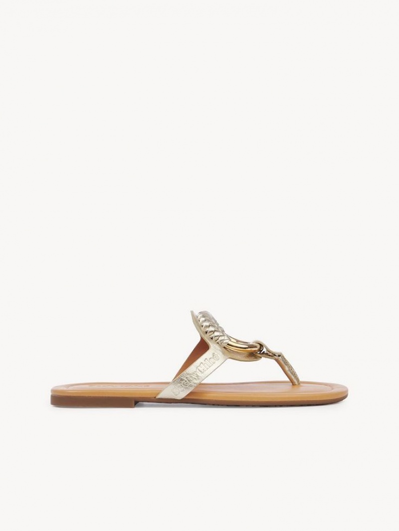 Chloe Hana Flip-flop Ballerinat Hopea | CHE-SR14829