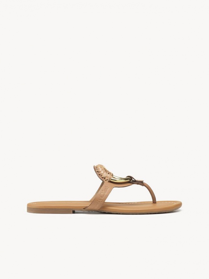 Chloe Hana Flip-flop Ballerinat Ruskea | CHE-SR14818