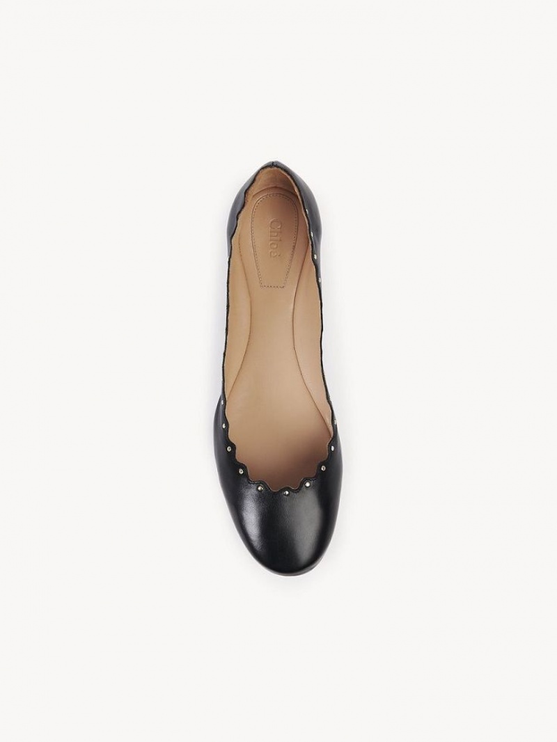 Chloe Lauren Ballet Flat Mustat | CHE-SR14255