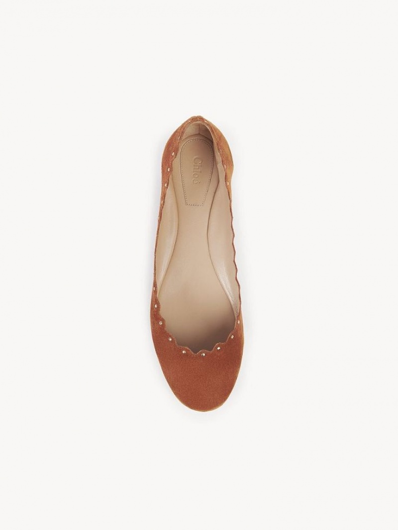 Chloe Lauren Ballet Flat Ruskea | CHE-SR14254