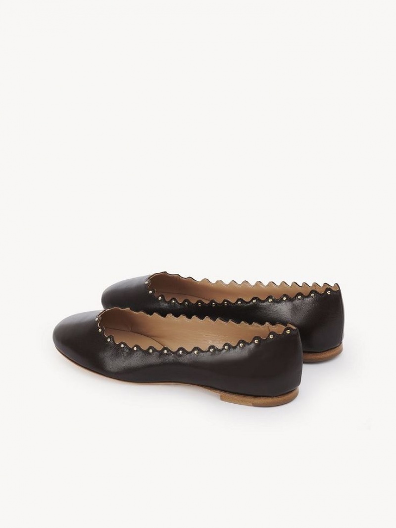 Chloe Lauren Ballet Flat Suklaa | CHE-SR14253