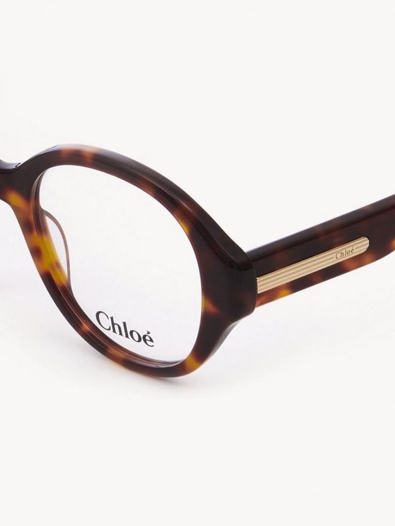 Chloe Mirtha Silmälasit Havana | CHE-SR14583