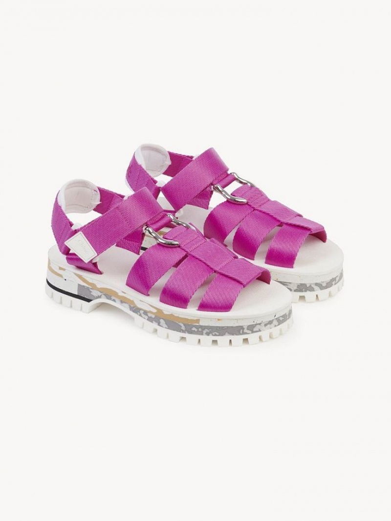 Chloe Nikie Active Litteät Sandaalit Pinkki | CHE-SR14177