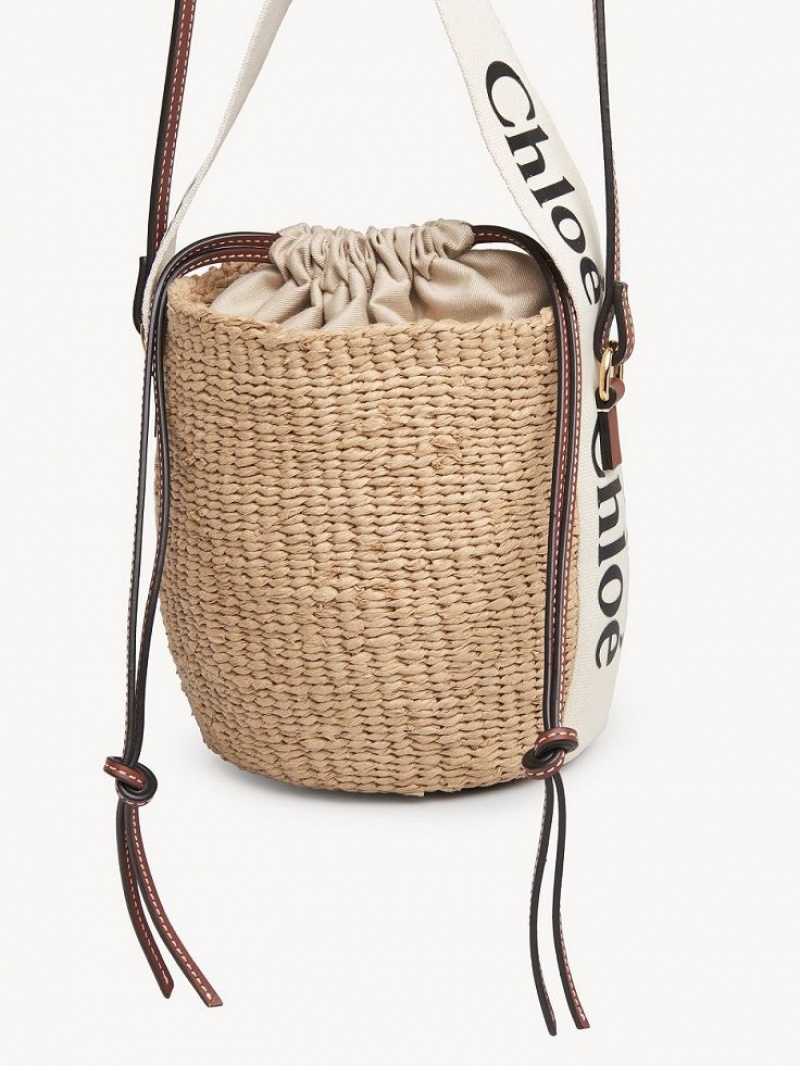 Chloe Small Woody Basket Crossbody Laukut Valkoinen | CHE-SR13609