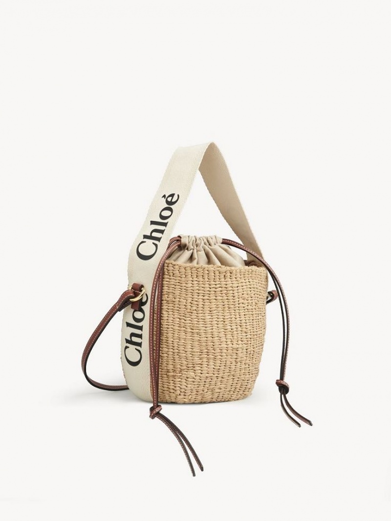 Chloe Small Woody Basket Crossbody Laukut Valkoinen | CHE-SR13609