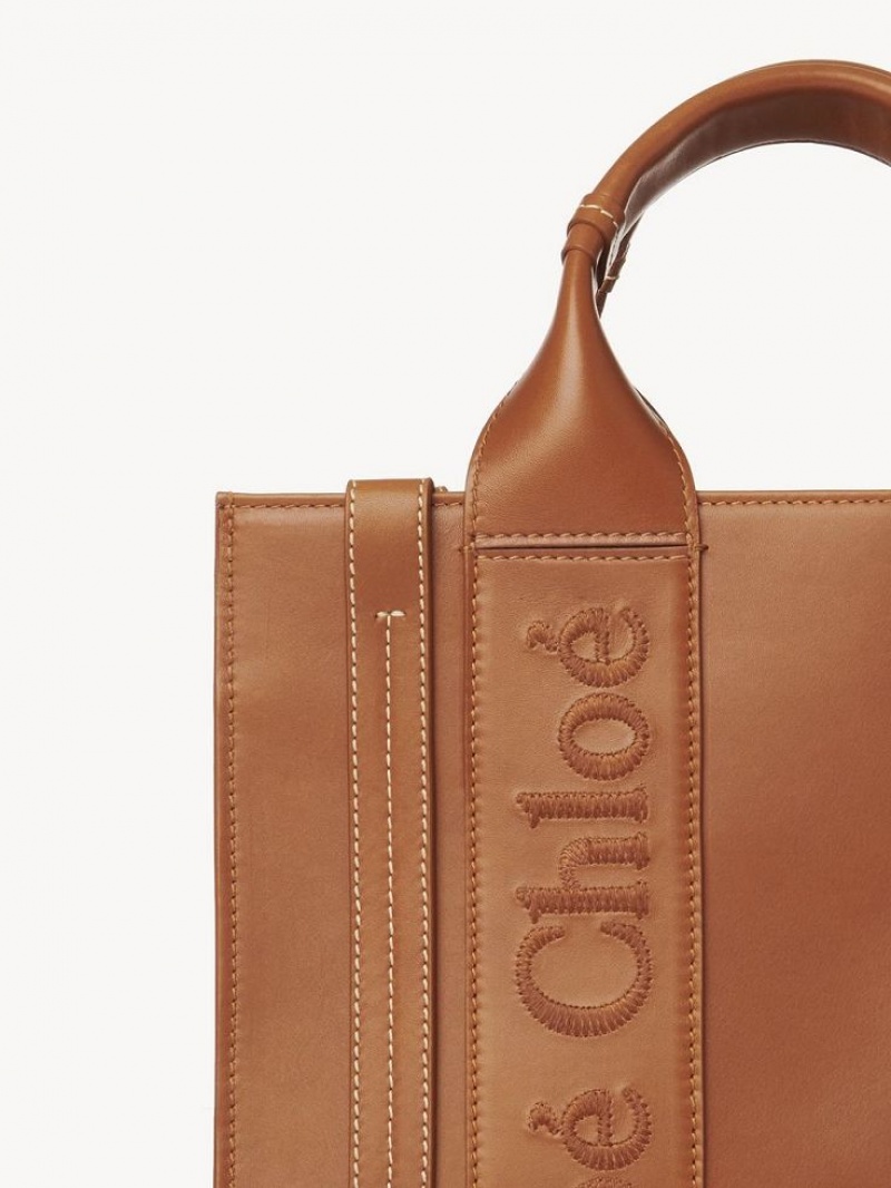 Chloe Small Woody Crossbody Laukut Ruskea | CHE-SR13535