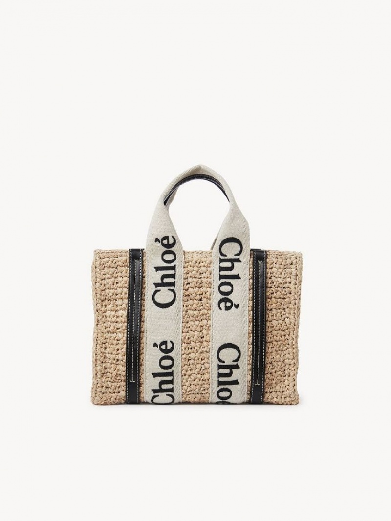 Chloe Small Woody Crossbody Laukut Ruskea | CHE-SR13625