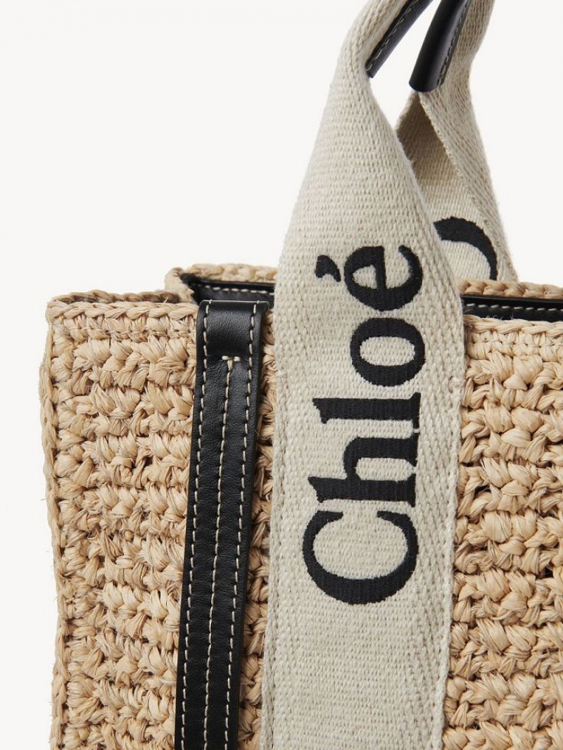 Chloe Small Woody Crossbody Laukut Ruskea | CHE-SR13625