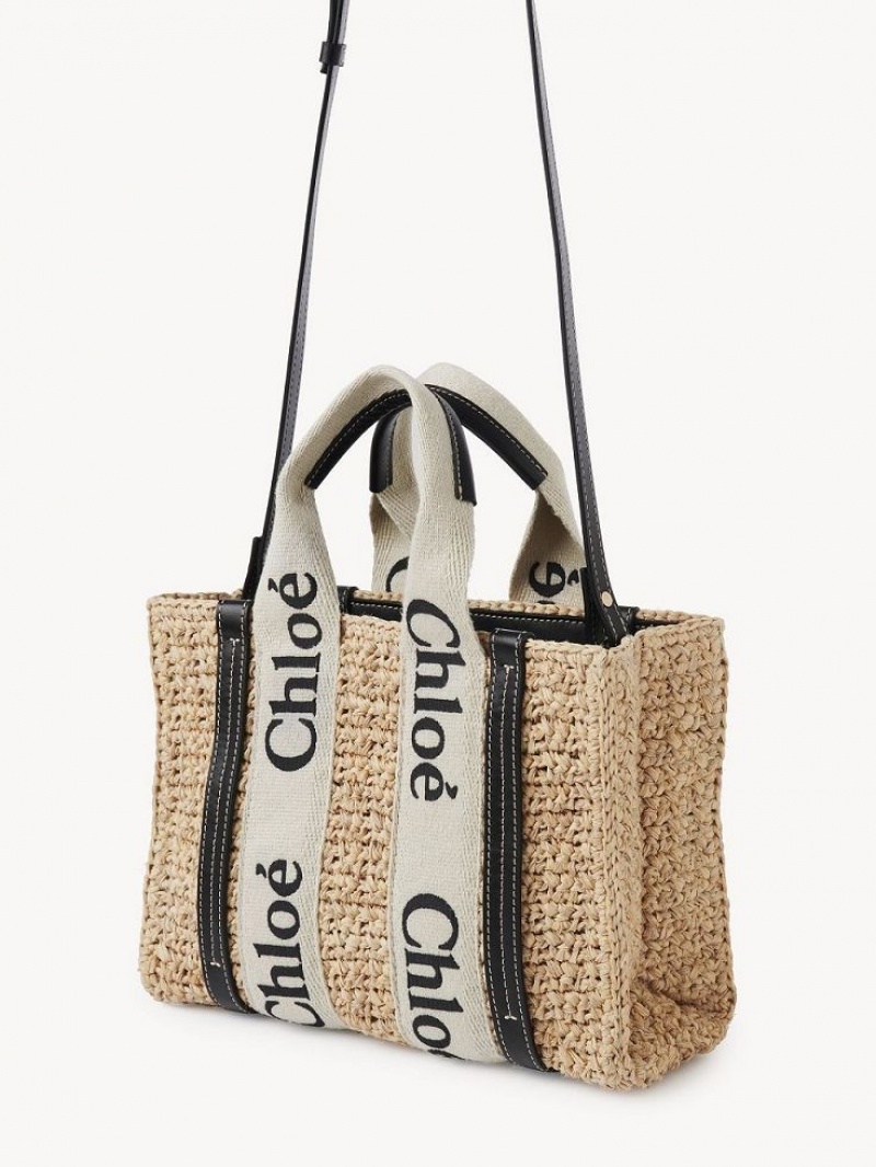 Chloe Small Woody Crossbody Laukut Ruskea | CHE-SR13625