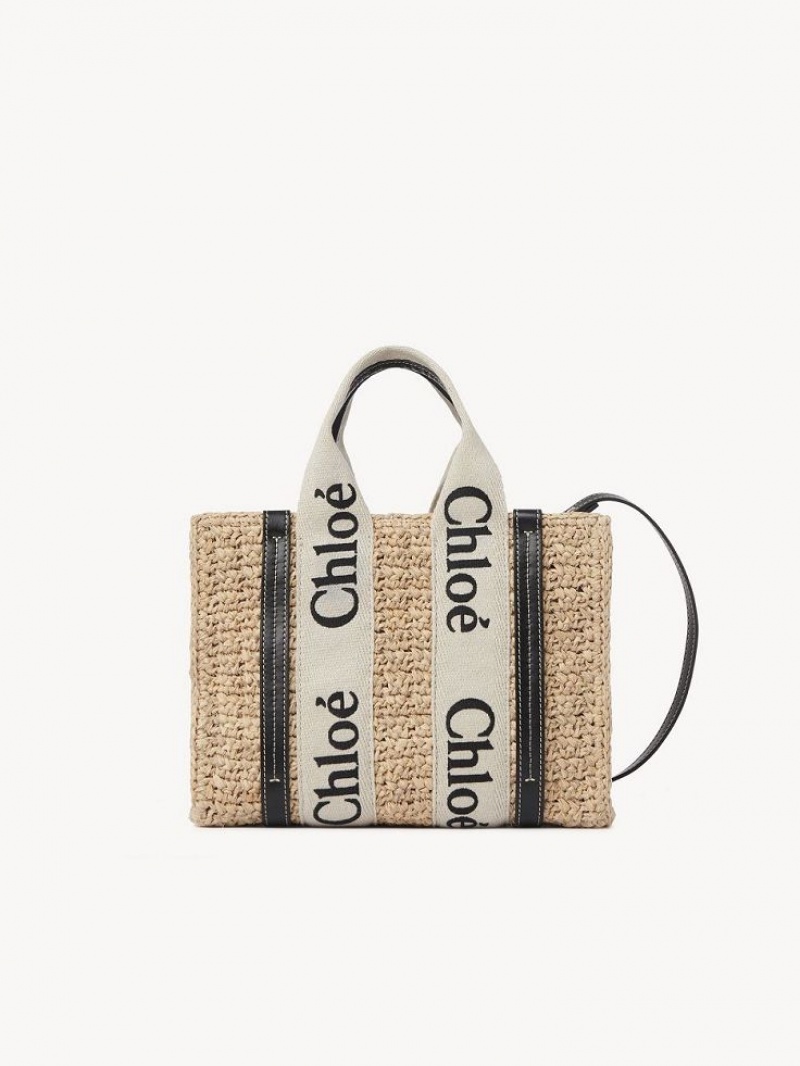 Chloe Small Woody Crossbody Laukut Ruskea | CHE-SR13625