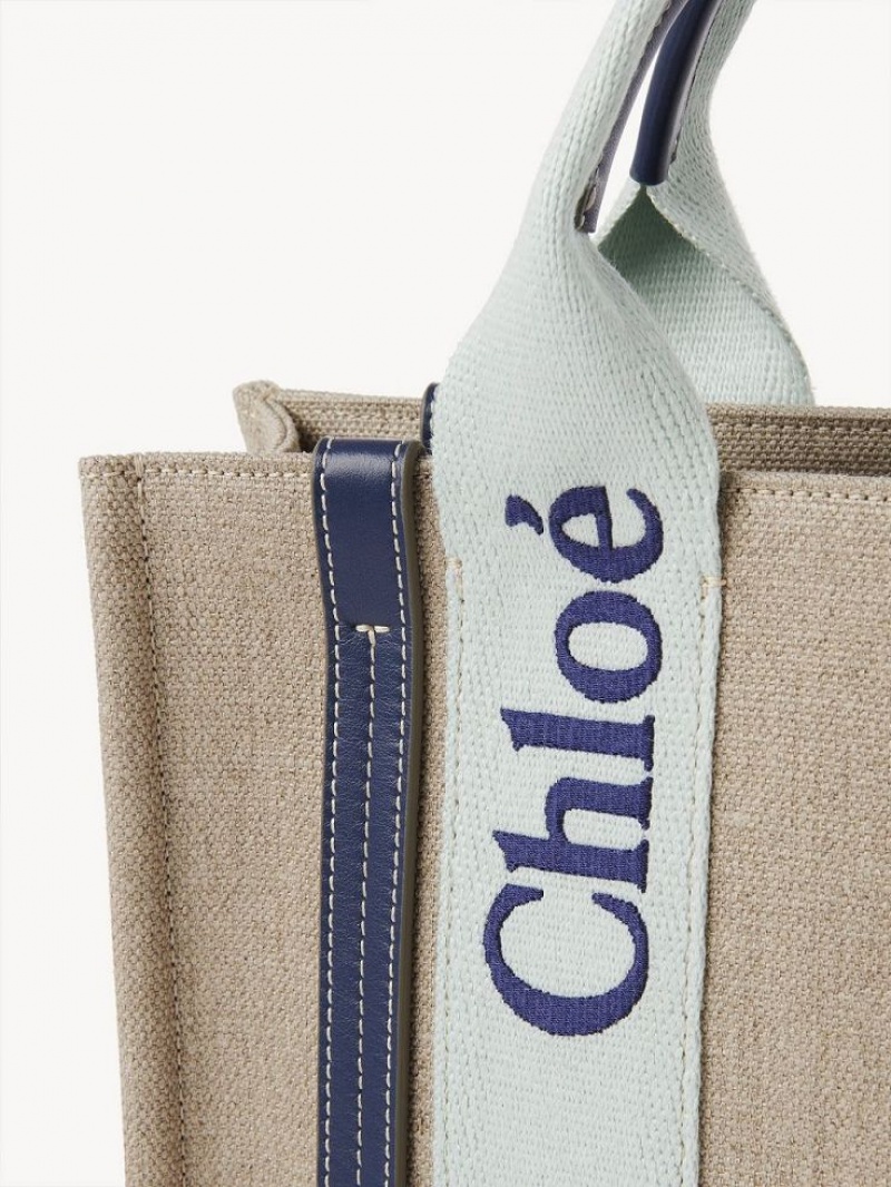 Chloe Small Woody Crossbody Laukut Vihreä Sininen | CHE-SR13568