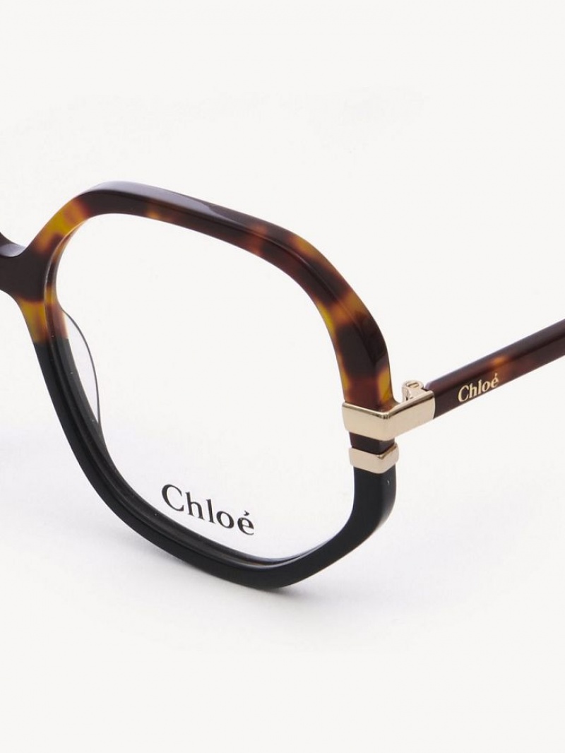 Chloe West Silmälasit Havana | CHE-SR14584